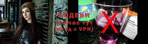 тгк Дмитриев