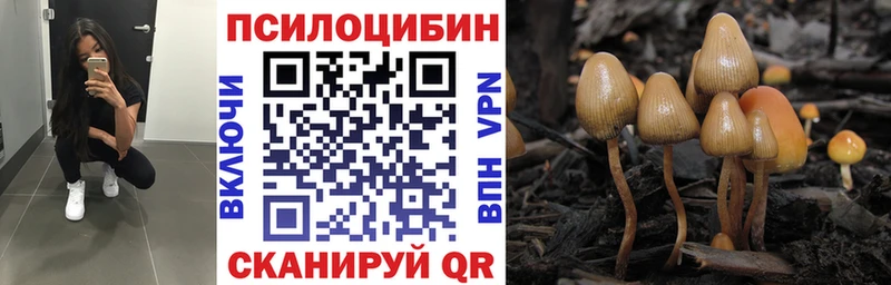 Псилоцибиновые грибы ЛСД  мориарти клад  Стерлитамак 